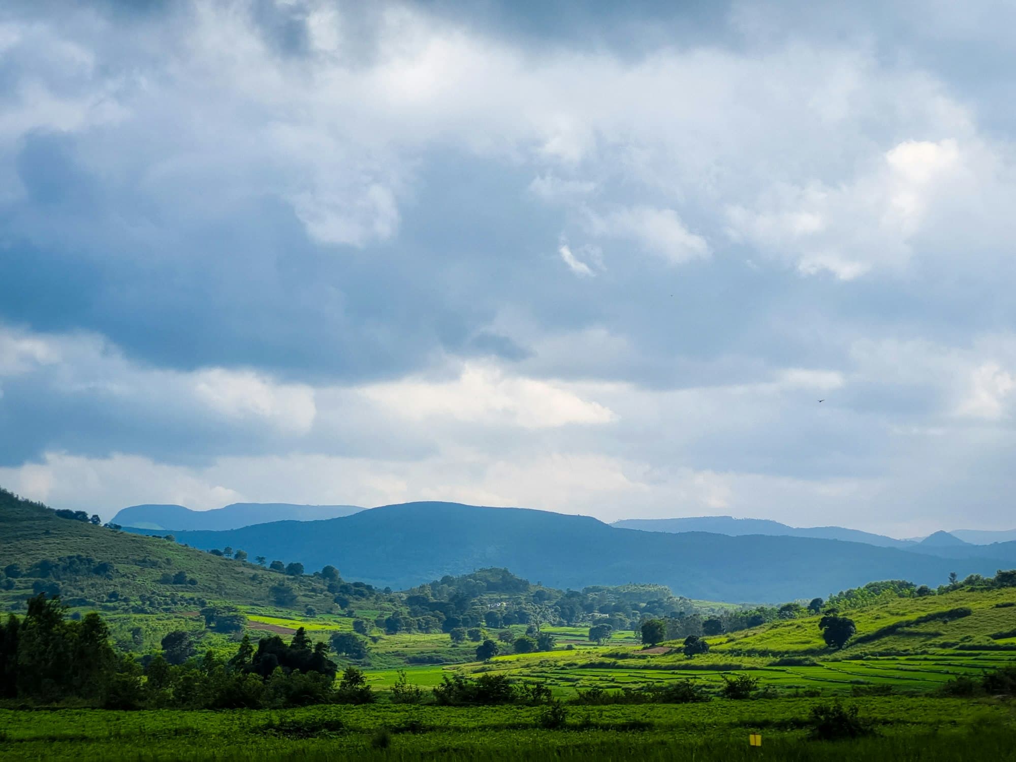 A green valley under a cloudy sky in the Araku hills