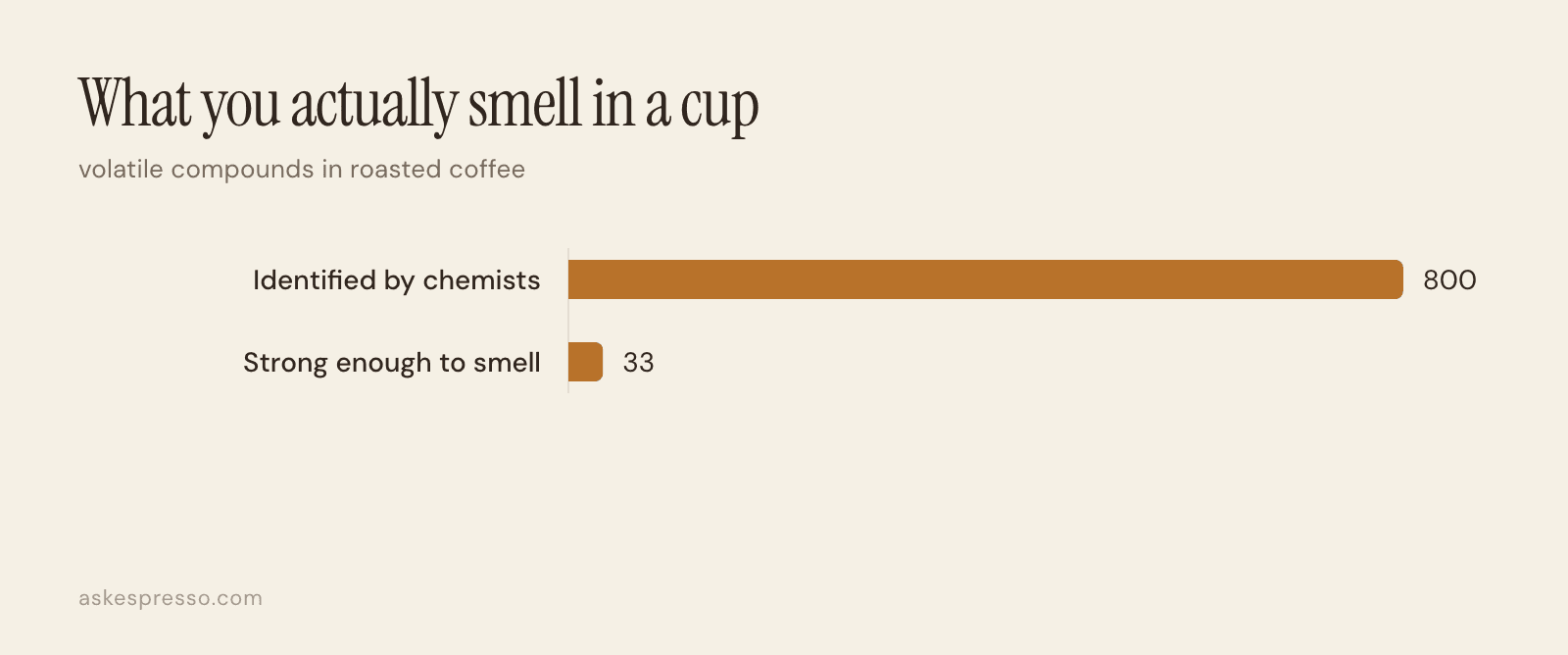 Bar chart: more than 800 volatile compounds identified in roasted coffee, of which about 33 are strong enough to smell.