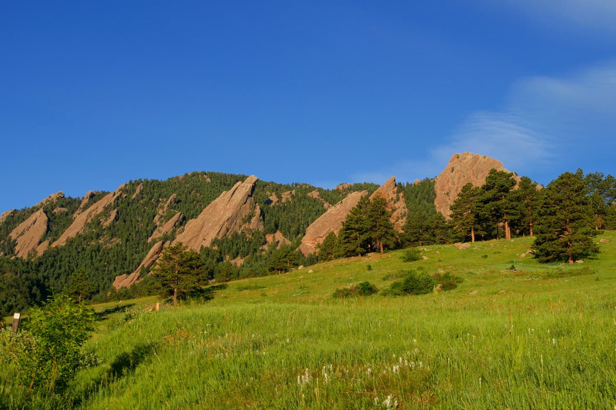 A green field below the Flatirons in Boulder, Colorado