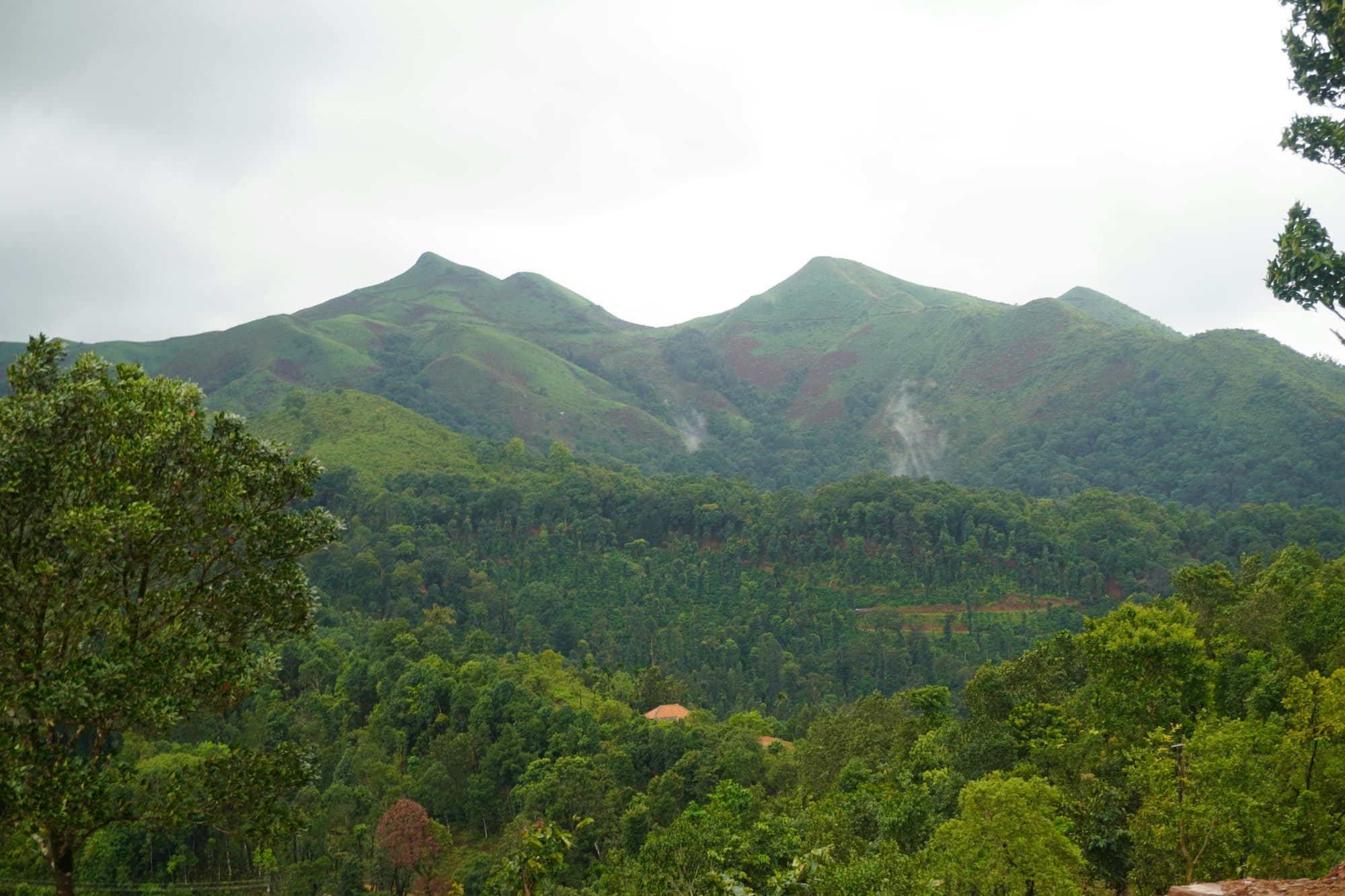 Green hills near Chikmagalur, in the coffee country of Karnataka