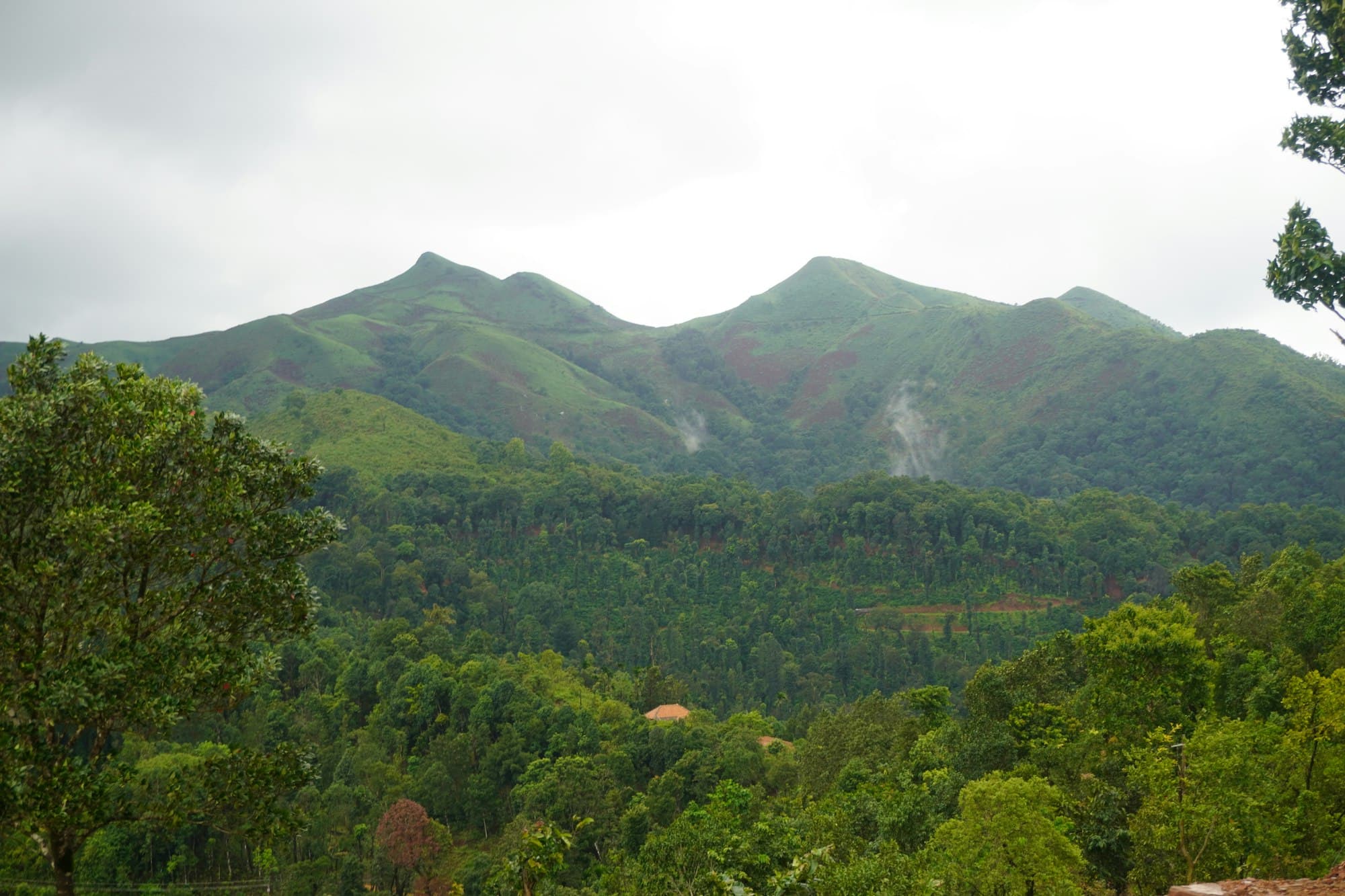 Green hills near Chikmagalur, in the coffee country of Karnataka