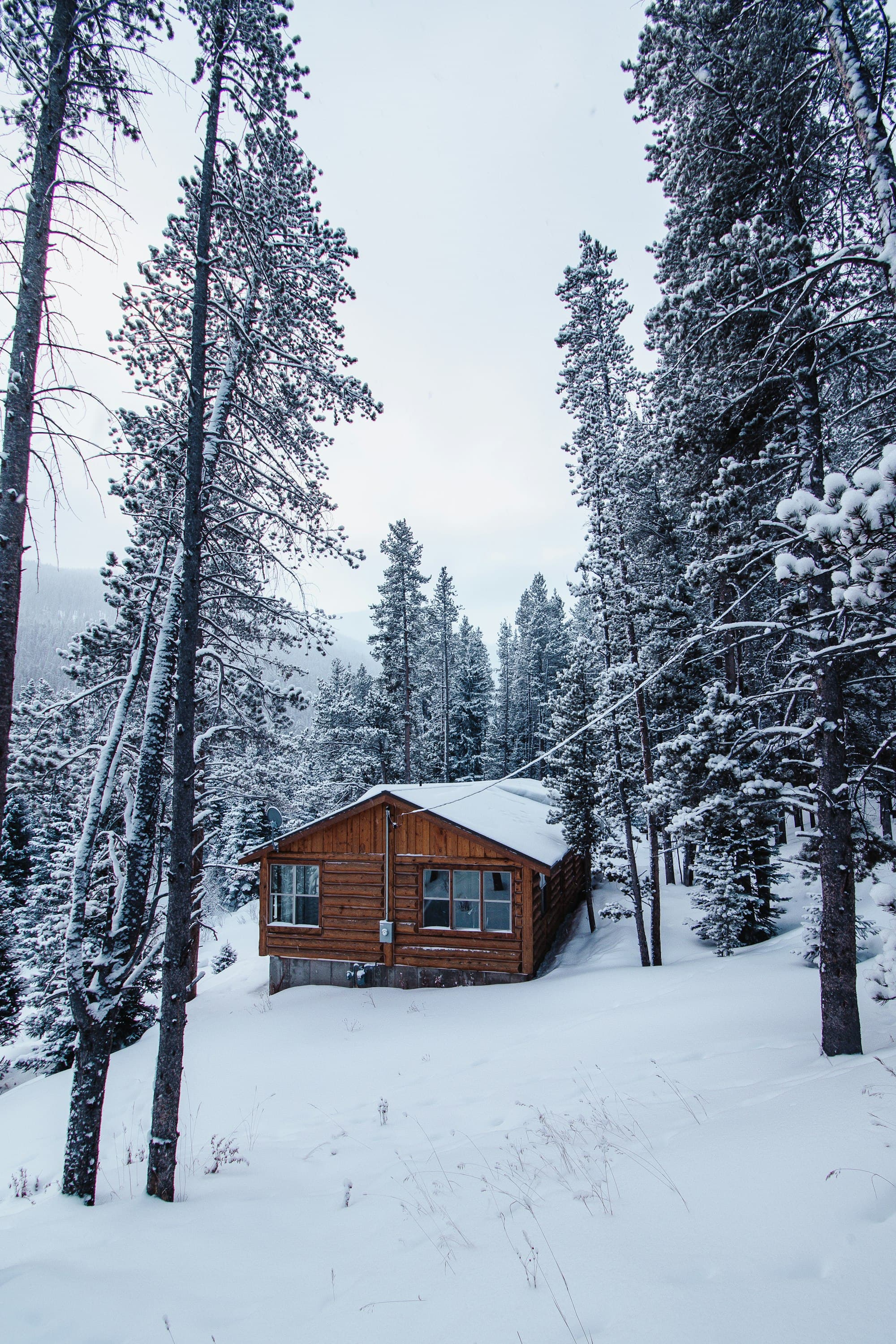 A cabin in a snowy Colorado forest