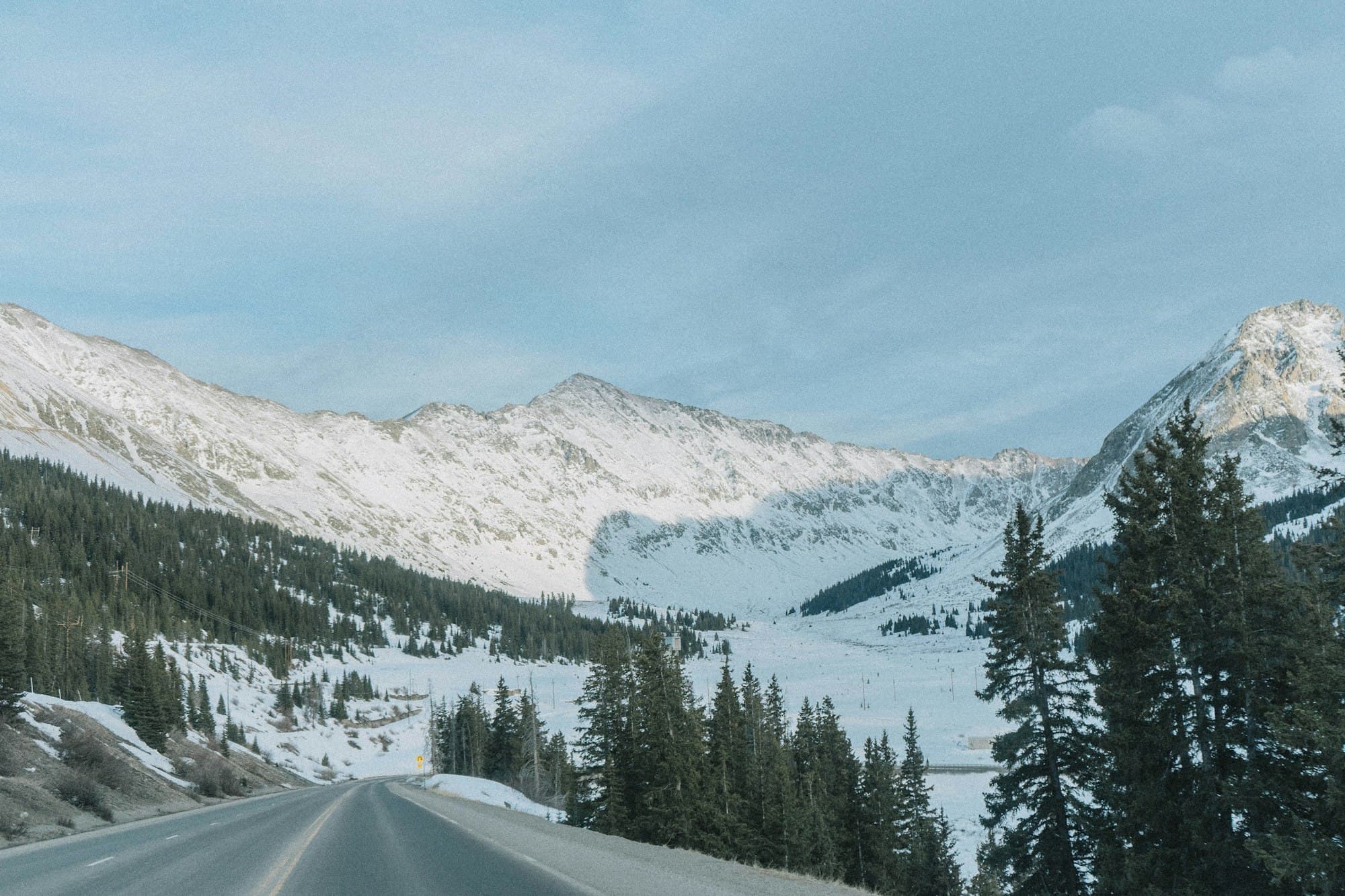 A road between pine trees near a snow-capped mountain in Colorado