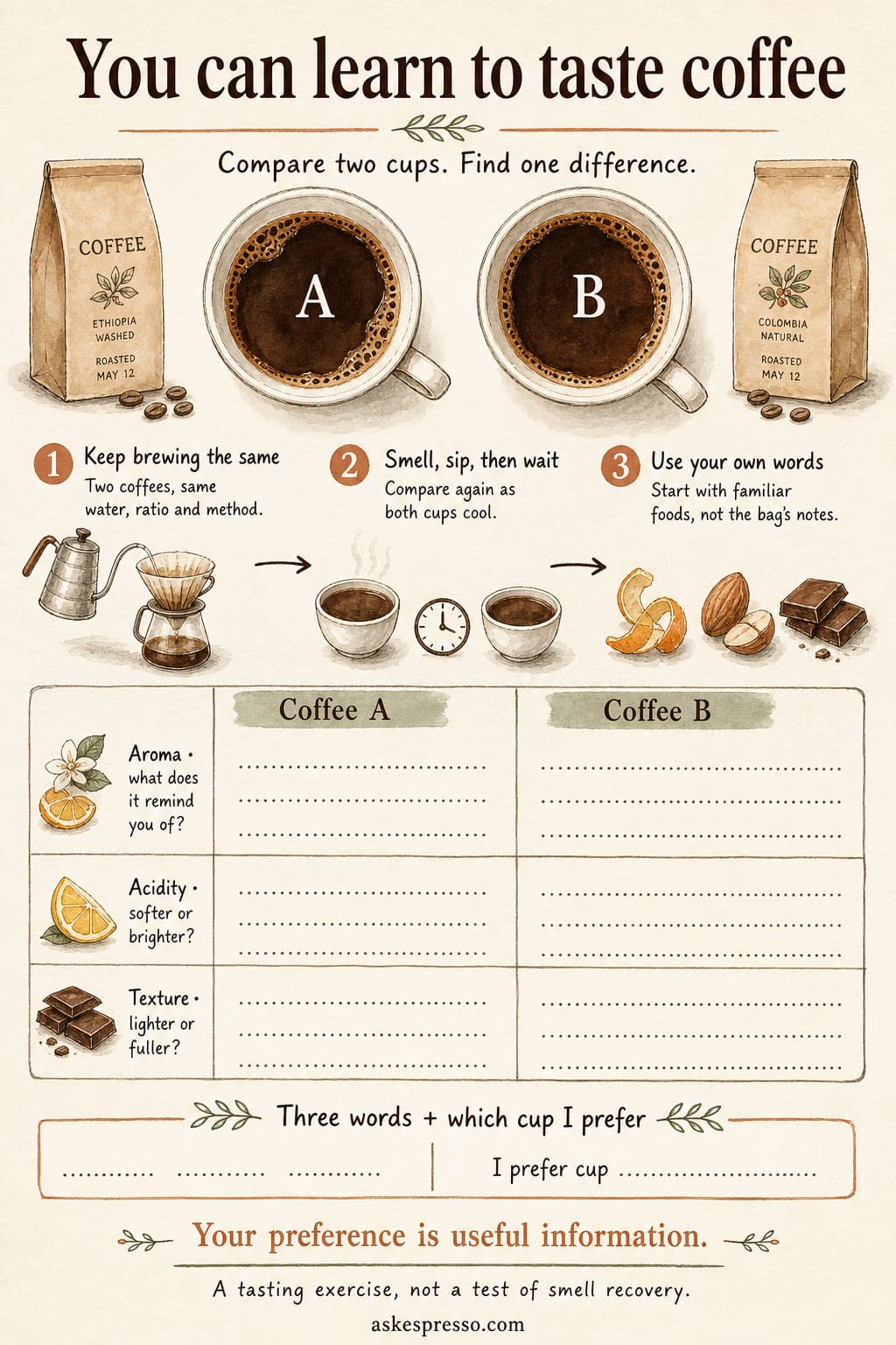 Watercolor side-by-side coffee tasting worksheet with cups A and B. Brew both with the same water, ratio and method; compare as they cool; record aroma, acidity, texture, three descriptive words and a preferred cup.
