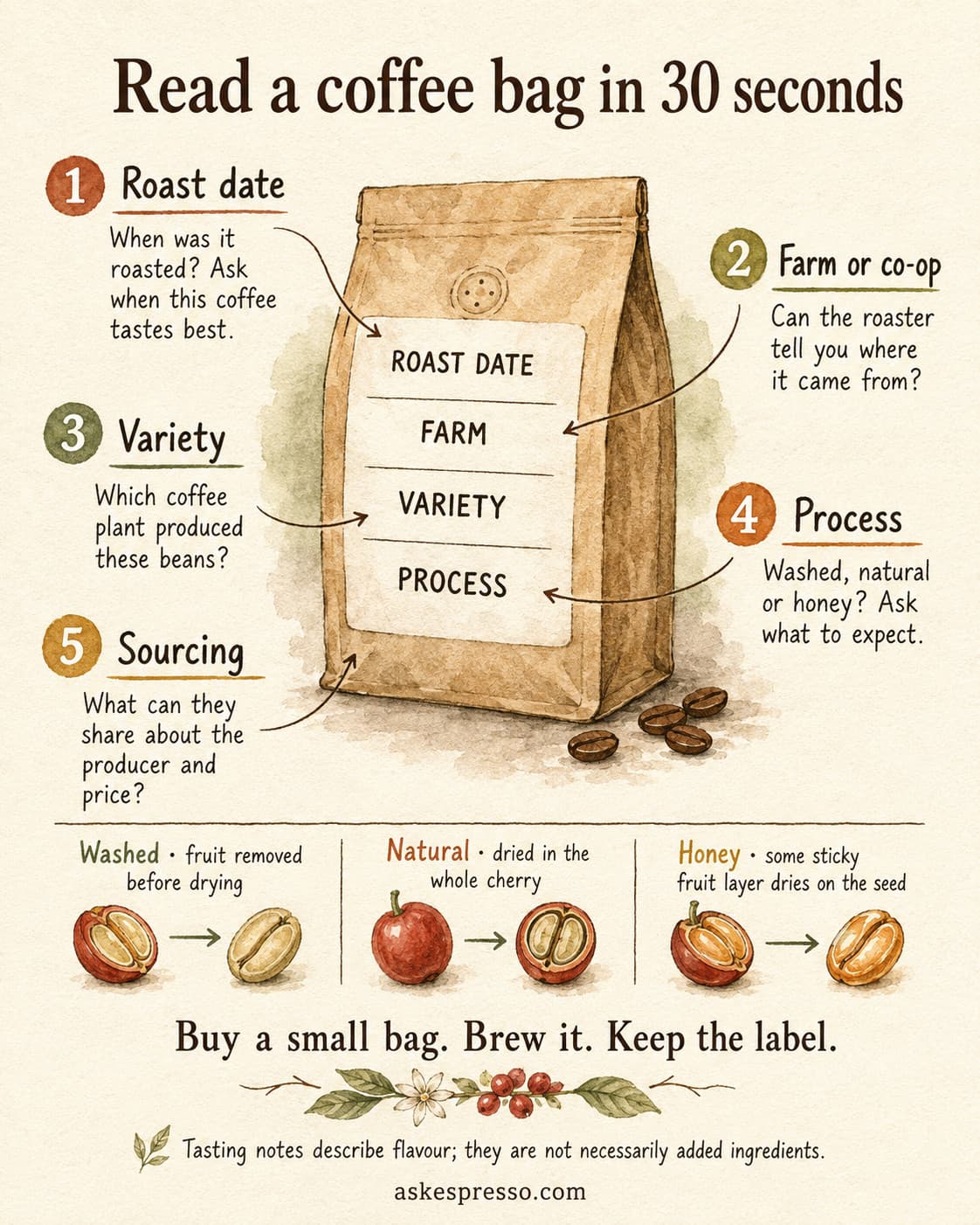 Watercolor coffee bag checklist: ask about roast date, farm or co-op, variety, processing and sourcing. Illustrated key explains washed, natural and honey processing. Buy a small bag and keep the label.