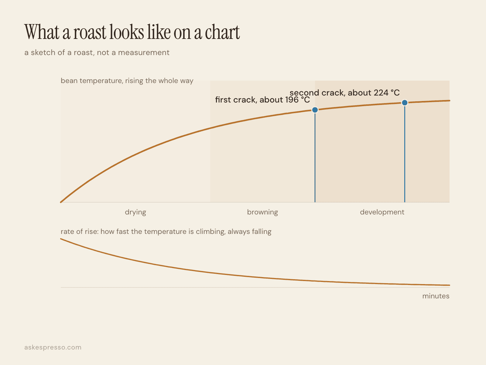A conceptual roast curve: temperature rises steeply through drying, then more slowly through browning, with first crack marked near 196 degrees and second crack near 224 degrees, and a second smaller curve showing the rate of rise falling throughout.