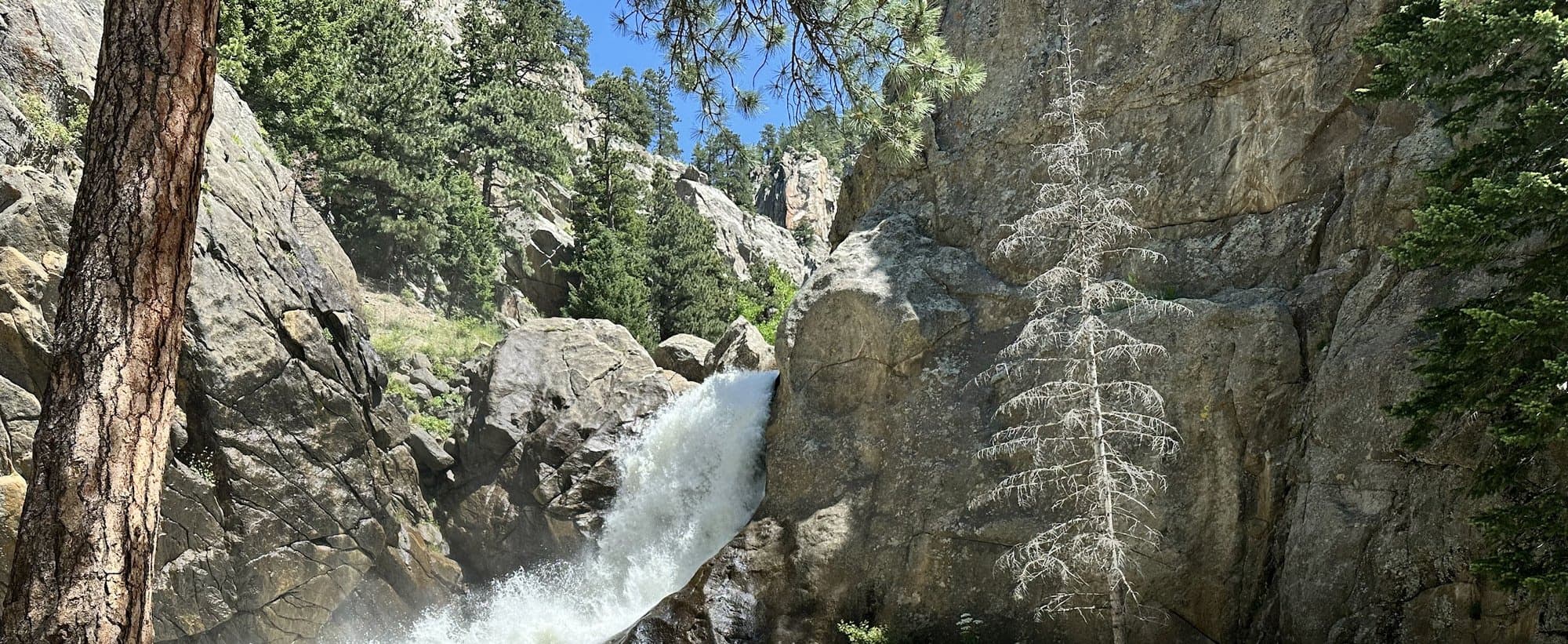 A waterfall pouring between granite walls in a canyon above Boulder, with pines and a pale dead tree on the rock