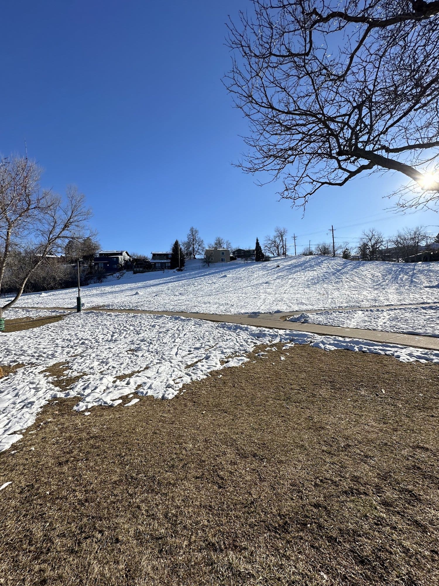 A snow-patched field and a path under a bare tree and a deep blue winter sky, houses on the ridge behind