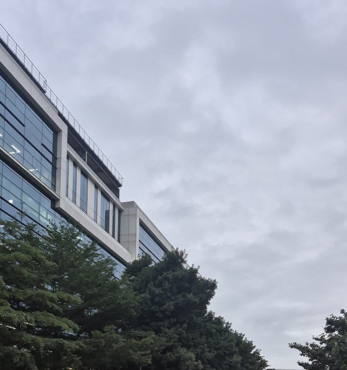 The glass front of a tech park office building above a row of dark green trees under a grey December sky in Whitefield